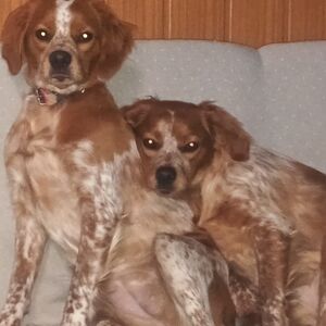 Telma und Louise